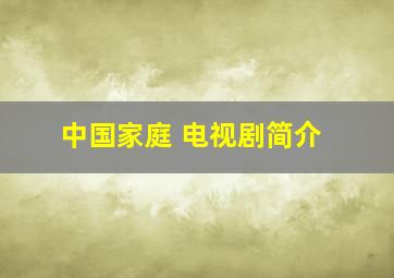 中国家庭 电视剧简介